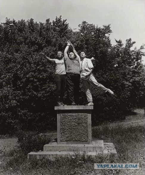 Забавные фотографии, сделанные в нужный момент