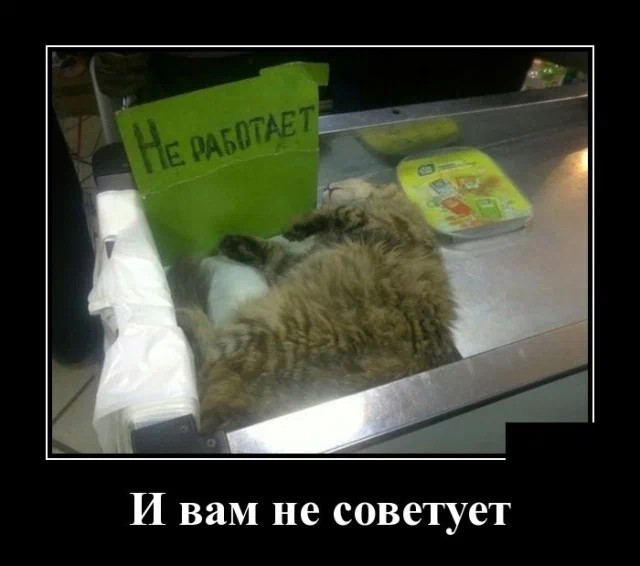 Картинки с надписями 10.07.22