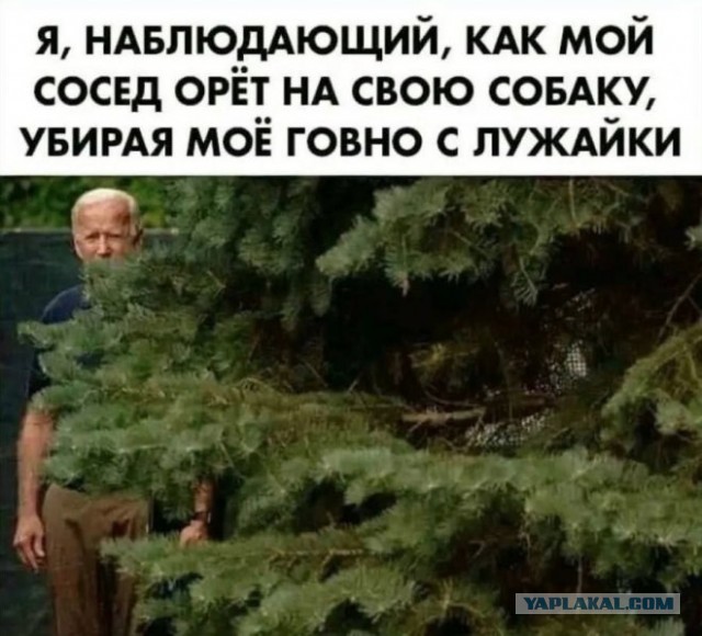 Картинки и мемы для настроения - 15