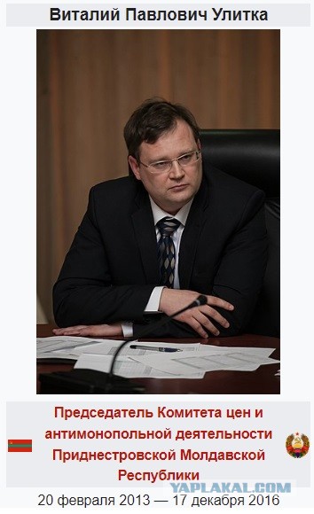 Если жизнь даёт тебе улитку, то надо ухватиться за неё и стоять на своём