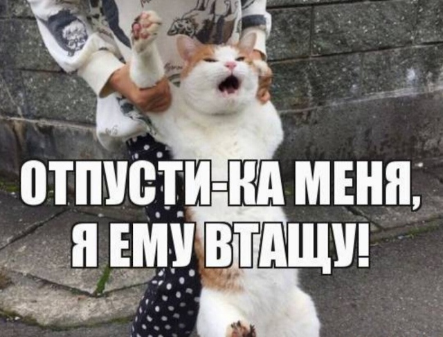 ❗️БПЛА прилетел в штаб Черноморского Флота в Севастополе