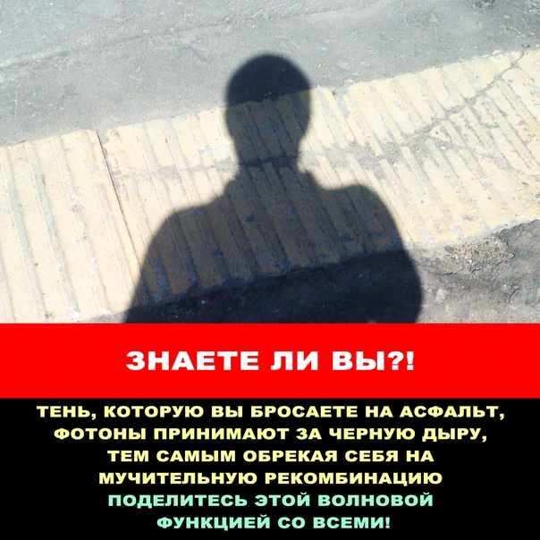 Весёлый полтишок 08.11.22