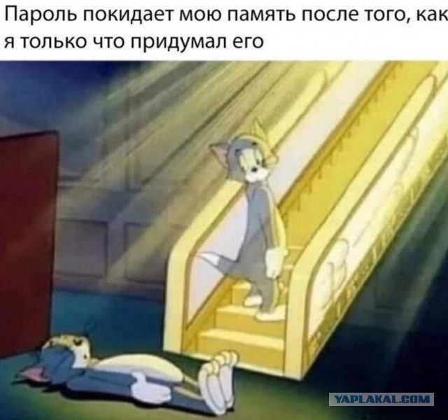 Нуштош 10.04.2023