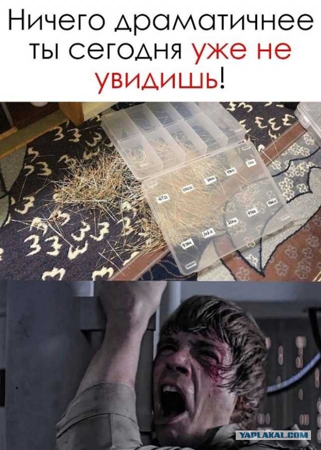 38 разных картинок для настроения (1)