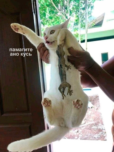 Немного картинок и прочей хреноты Vol. 23