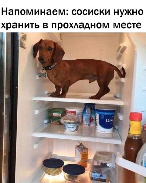 Всего понемногу. От 19.01.24