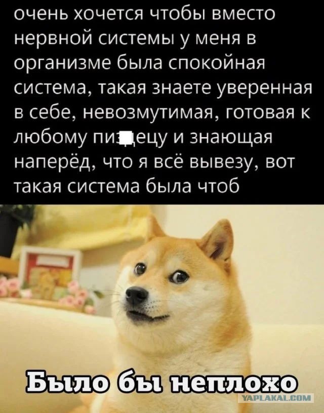 Дурдом - Бояны