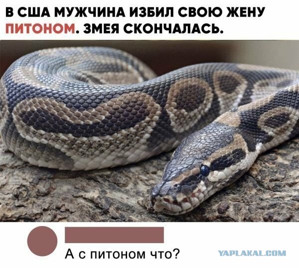Байаны