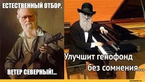 Вот что бывает, когда "по приколу"