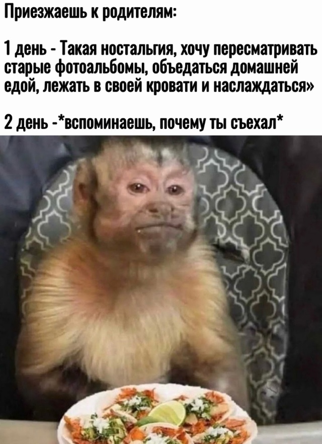 Весёлый полтишок 05.08.24