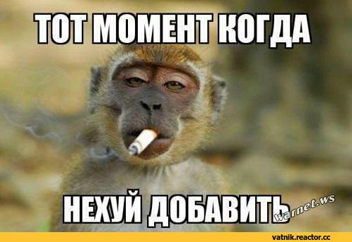 Наценка больше 100%: ФАС заинтересовалась ценами на хлеб — сколько он стоит сейчас и как подорожал за год