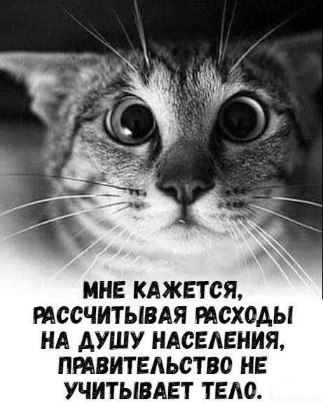 Веселые картинки в пятницу (24.01)