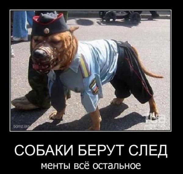 Давай, кусь кусь