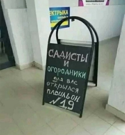 Я выбираю Спорт