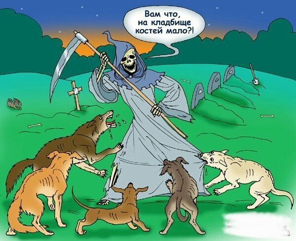 Так себе картинки 06.07.25