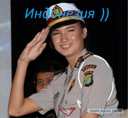 Полицейские мира