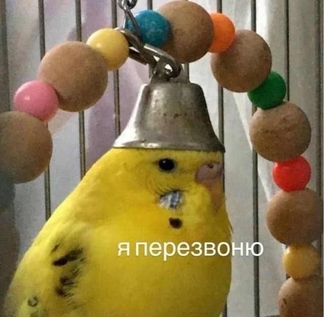 Веселое настроение в картинках (07.08.2025)
