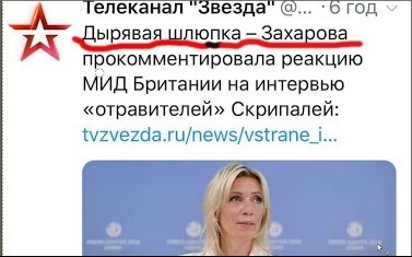 М.Захарова назвала журналистов «Тайм» -  «Озабоченными извращенцами»