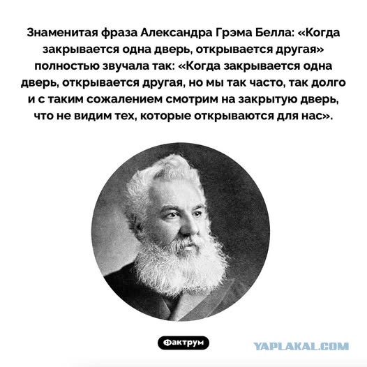 Картиночки, баянчики 10 декабря