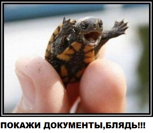 Сопротивление полиции