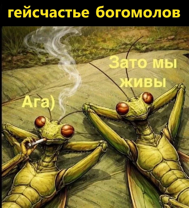 Деградация