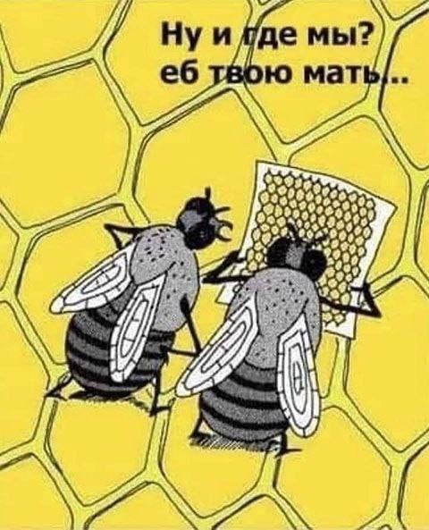 Картинки для деградации 153 (разной степени свежести)