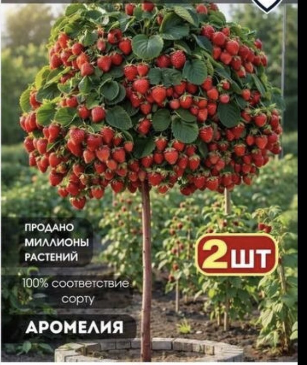 Бабушки массово скупают саженцы несуществующих растений на маркетплейсах