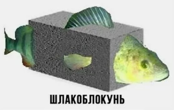 Угадайте