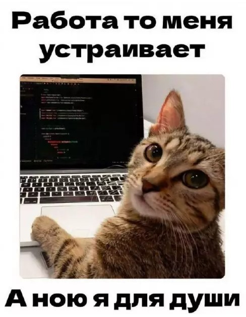 К котовторнику: подборка картинок-баянов с котиками и про котиков. Выпуск 37.