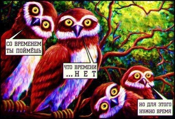 Так себе картинки 30.06.26