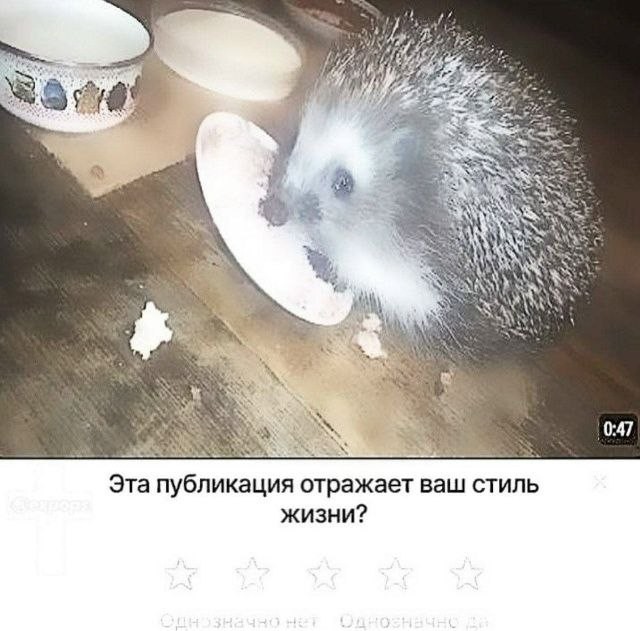Картинки для деградации 237 (разной степени свежести)