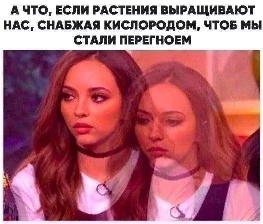Картинки для деградации 305 (разной степени свежести)
