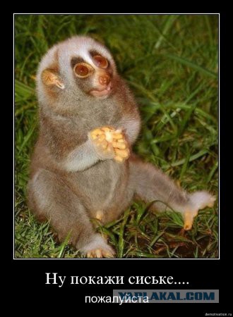 Её первый в жизни куб