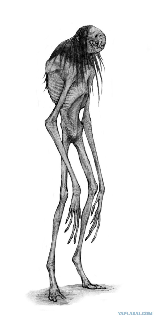 Визуализируем свои ники!