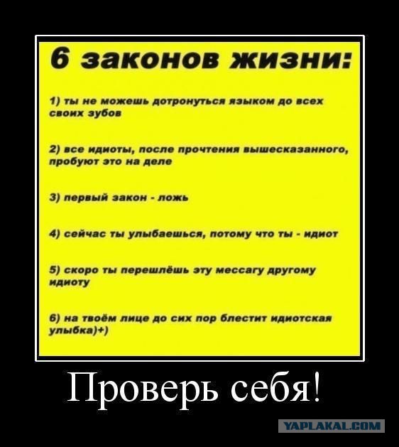 Приколы и маразмы
