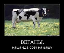 ООН может признать мясоедение преступлением.