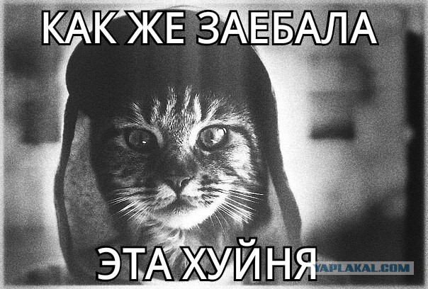 Ввод вооруженных сил РФ в Украину
