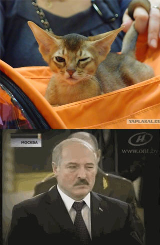 C Кэтсбурга 2014