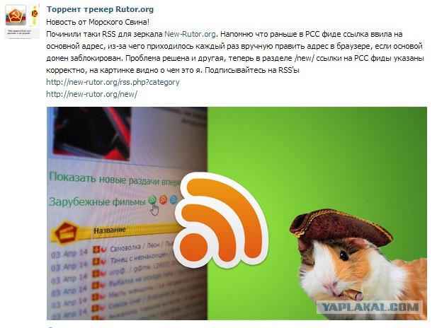 rutracker.org мертв? rutor не пользуется)