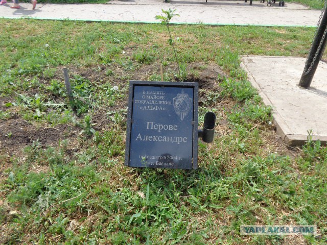 Беслан 2014