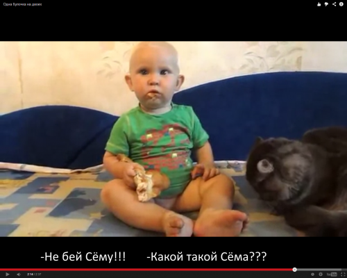 Одна булочка на двоих