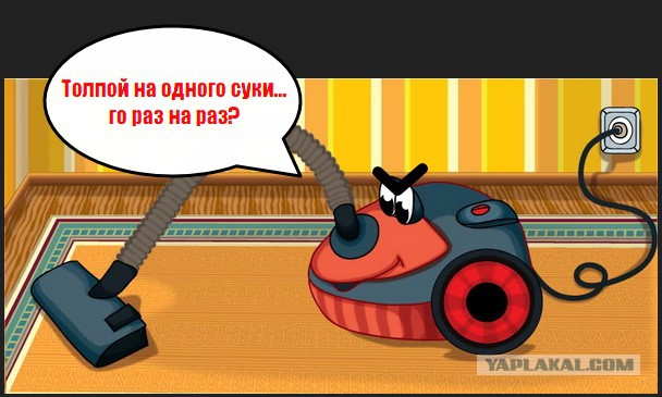 Жизнь домашнего приюта для котеек 16