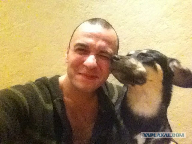 Комок счастья. Спасибо тебе, что вылечила меня..