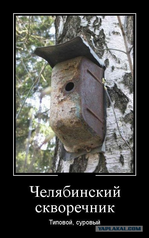 Веселые картинки