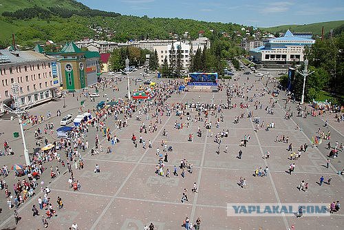 Тамбовский волк тебе товарищ...
