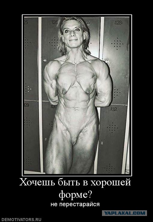 Вестник Соцсетей