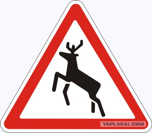 Знак не врет!