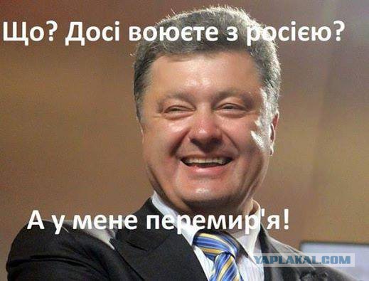 Перемирие кончилось, едва начавшись. Часть 11