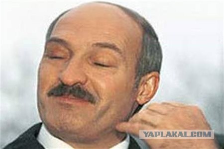 Белорусы