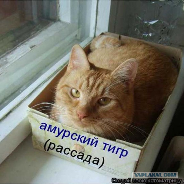 15 рекламных примеров ....